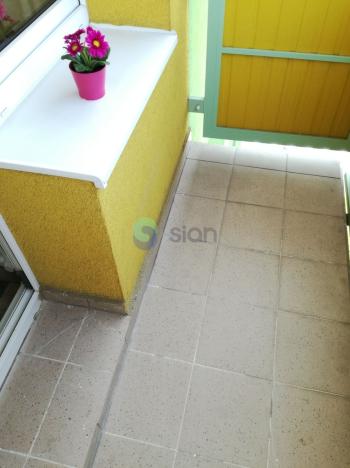 Pronájem bytu 2+1, Ostrava - Hrabůvka, Dr. Martínka, 54 m2