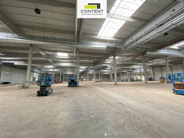 Pronájem skladu, Staňkovice, Jižní, 47500 m2