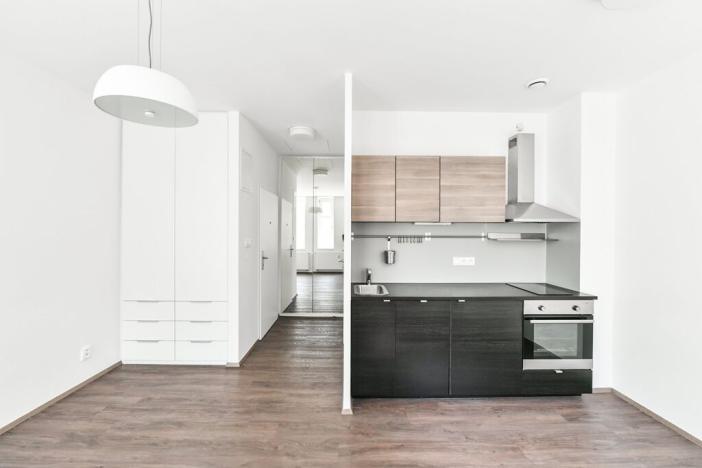 Pronájem bytu 1+kk, Praha - Vinohrady, Lucemburská, 30 m2