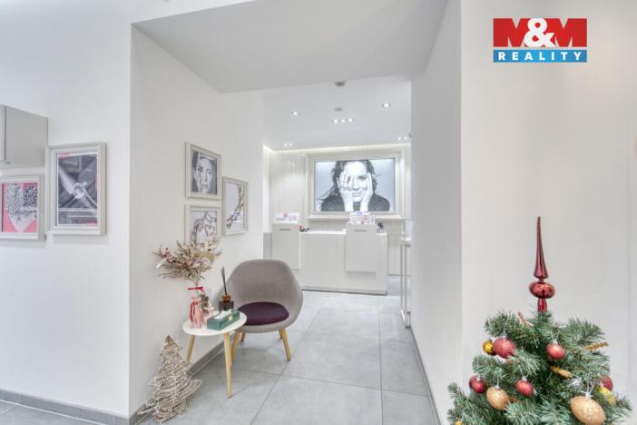 Pronájem obchodního prostoru, Plzeň - Vnitřní Město, Bedřicha Smetany, 116 m2