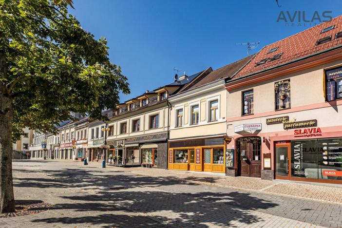 Prodej komerční nemovitosti, Benešov, Masarykovo náměstí, 256 m2