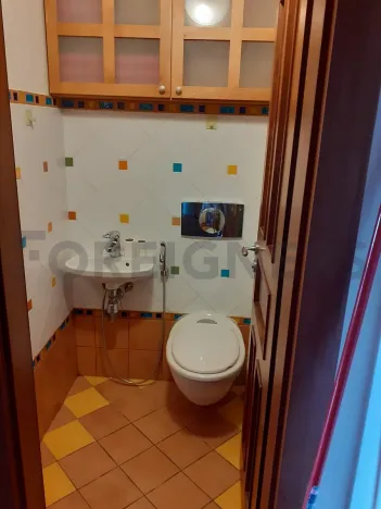 Pronájem bytu 5+1, Praha - Vršovice, 28. pluku, 160 m2