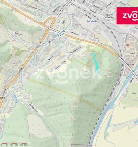 Prodej lesa, Vsetín - Rokytnice, 4429 m2