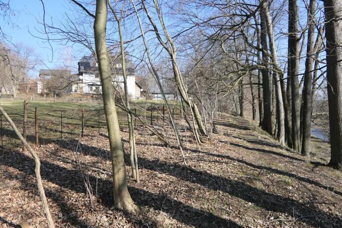 Prodej lesa, Raspenava, 656 m2