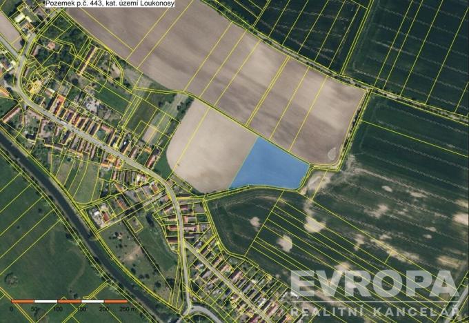 Prodej pole, Kolín, 11184 m2