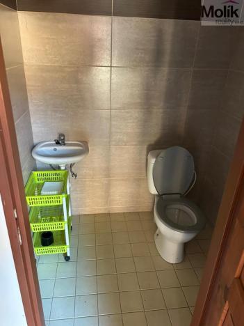 Pronájem skladu, Libčeves, U Rybníka, 30000 m2