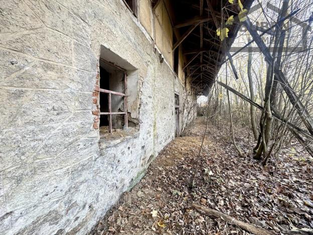 Prodej pozemku pro bydlení, Stráž - Olešná, 10472 m2