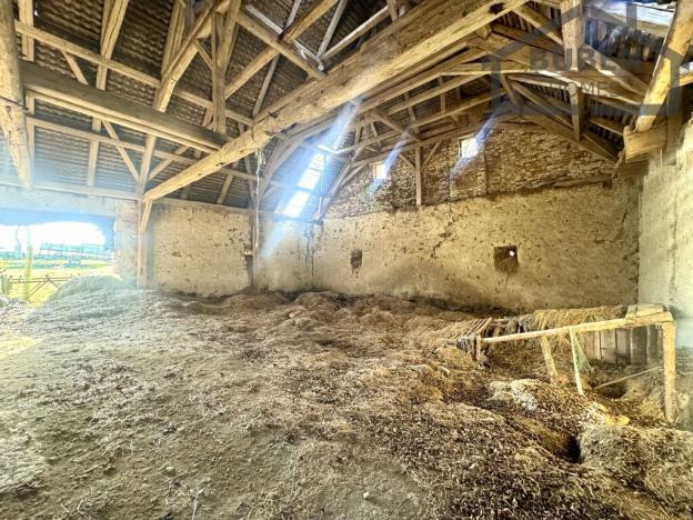 Prodej pozemku pro bydlení, Stráž - Olešná, 10472 m2