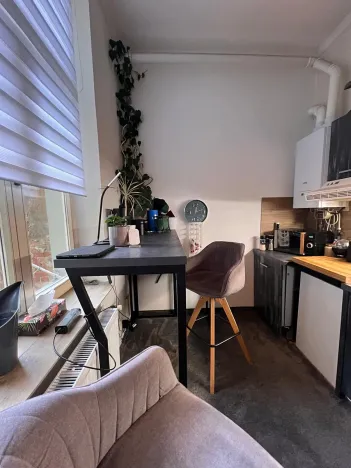 Prodej bytu 1+1, Karlovy Vary, Foersterova, 32 m2