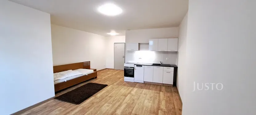 Pronájem bytu 1+kk, Čížová - Topělec, 25 m2