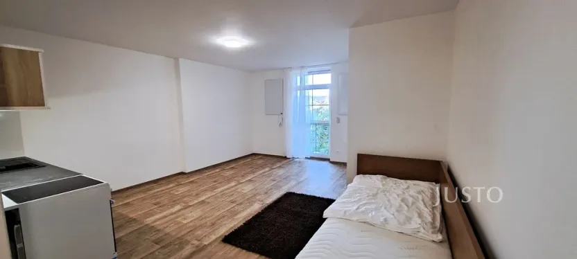 Pronájem bytu 1+kk, Čížová - Topělec, 25 m2