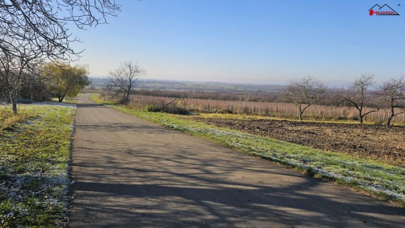 Prodej zahrady, Velké Bílovice, 3450 m2