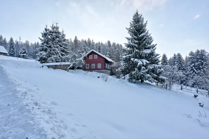 Prodej chalupy, Rokytnice nad Jizerou - Dolní Rokytnice, 108 m2