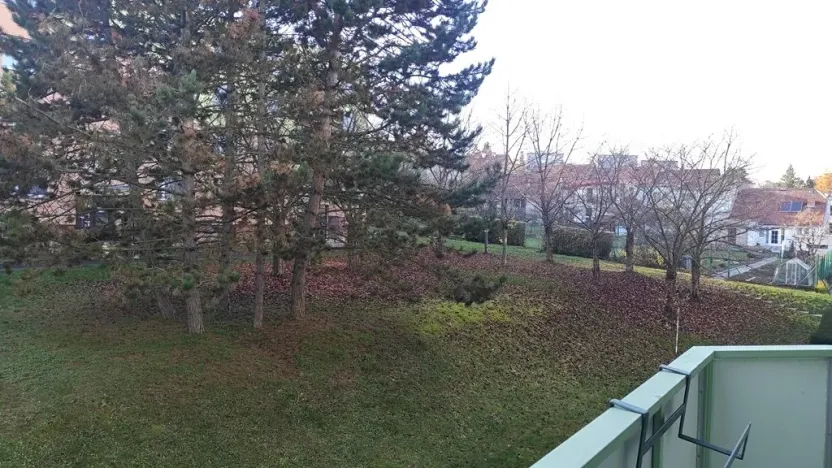 Pronájem bytu 3+1, Brno, Vondrákova, 73 m2