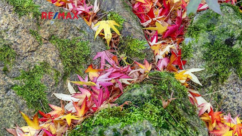 Prodej rodinného domu, Šimonovice, Vinohradní, 208 m2