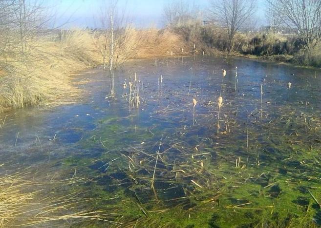 Prodej zahrady, Doubravčice, 7161 m2