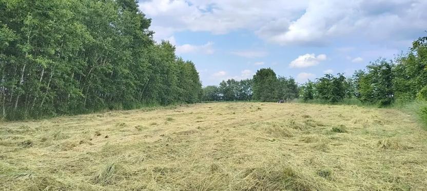 Prodej zahrady, Doubravčice, 7161 m2