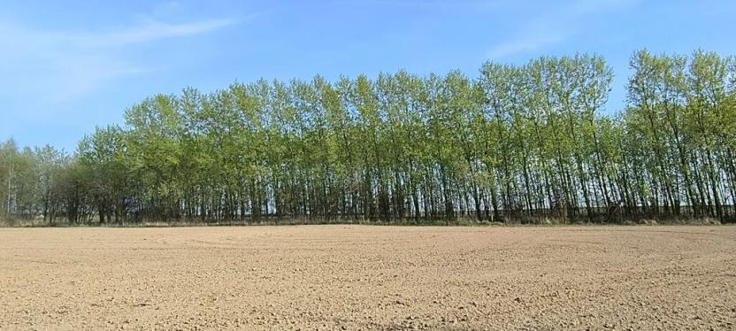 Prodej zahrady, Doubravčice, 7161 m2