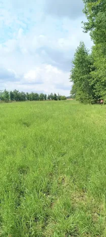 Prodej zahrady, Doubravčice, 7161 m2