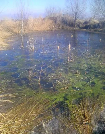 Prodej zahrady, Doubravčice, 7161 m2