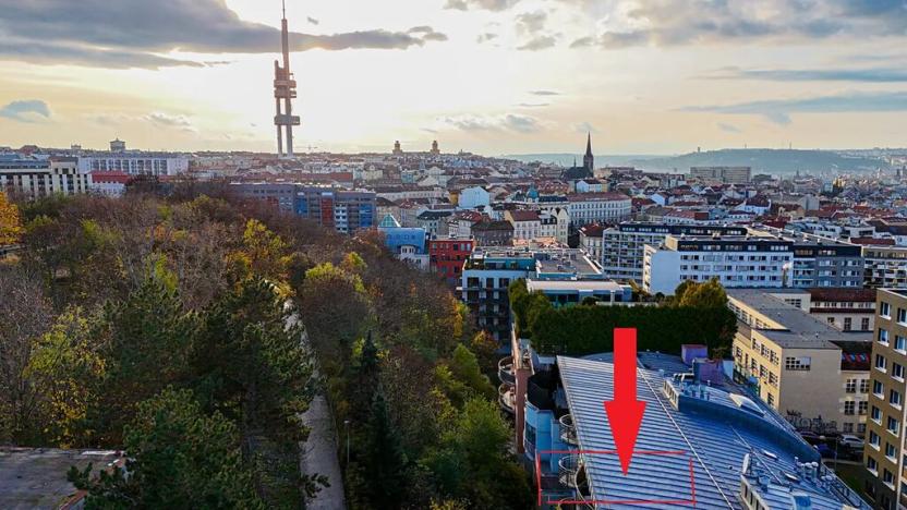 Prodej bytu 2+kk, Praha - Žižkov, Jeseniova, 51 m2