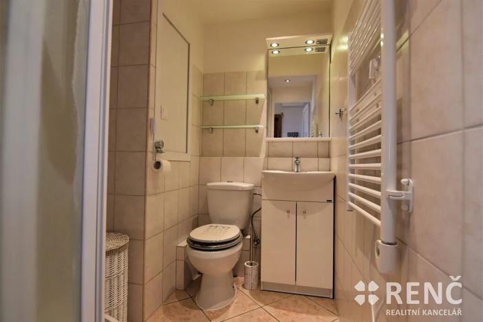 Pronájem bytu 1+1, Brno, Richtrova, 36 m2