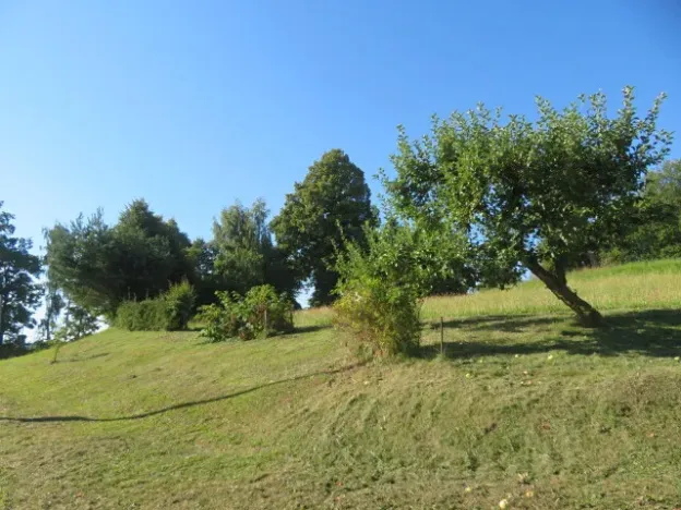 Dražba louky, Opatov, 2916 m2