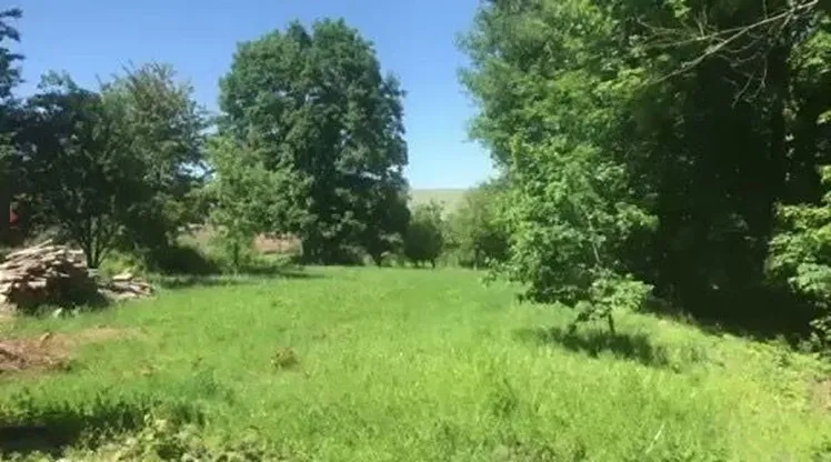 Dražba pozemku pro bydlení, Bělá nad Radbuzou, 1066 m2