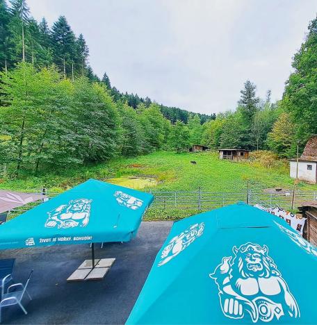 Prodej restaurace, Valašské Klobouky, Brumovská, 467 m2