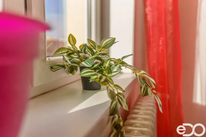 Prodej bytu 2+1, Praha, Olbramovická, 57 m2