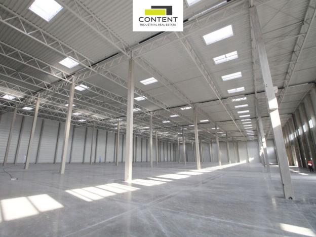 Pronájem výrobních prostor, Kožichovice, Žďárského, 5000 m2