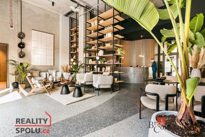 Pronájem bytu 1+kk, Brno - Zábrdovice, Bratislavská, 30 m2