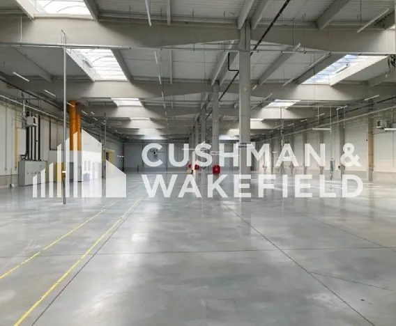 Pronájem skladu, Milovice, Topolová, 7445 m2