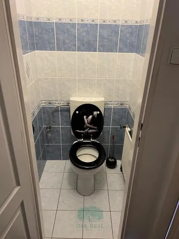 Prodej rodinného domu, Lešany, 272 m2