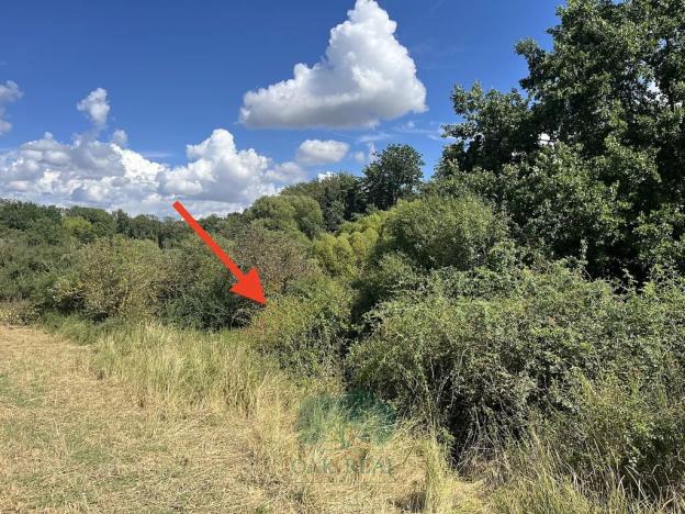 Prodej louky, Praha - Královice, 698 m2