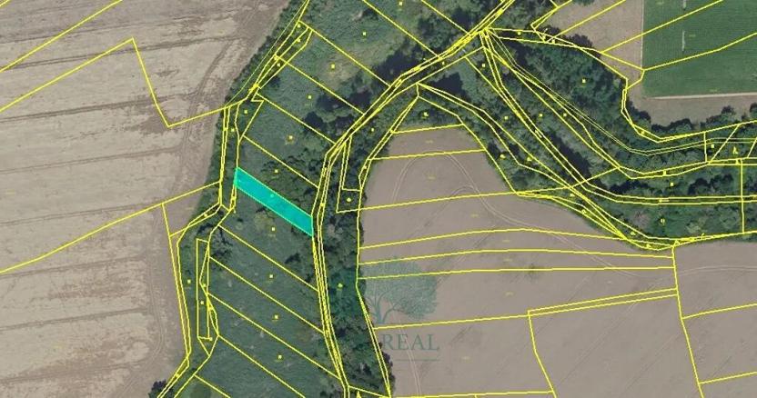 Prodej louky, Praha - Královice, 698 m2