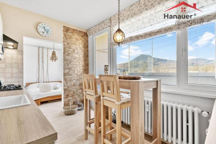 Prodej bytu 2+1, Děčín - Děčín VI-Letná, Severní, 50 m2