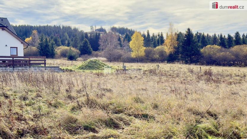 Prodej pozemku pro bydlení, Abertamy, Plešivecká, 836 m2
