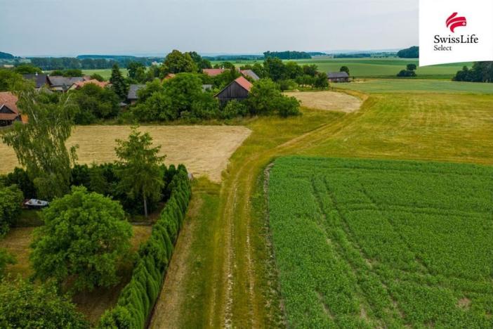 Prodej louky, Ledce, 4531 m2