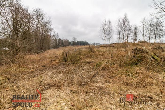 Prodej pozemku pro bydlení, Pěčín, 9989 m2