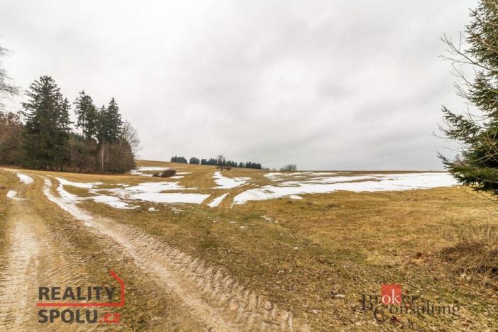 Prodej pozemku pro bydlení, Pěčín, 9989 m2