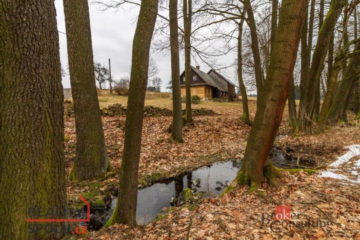 Prodej pozemku pro bydlení, Pěčín, 9989 m2
