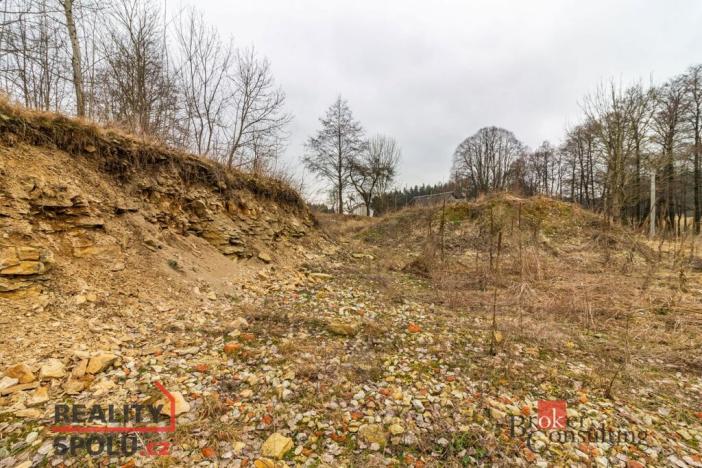 Prodej pozemku pro bydlení, Pěčín, 9989 m2