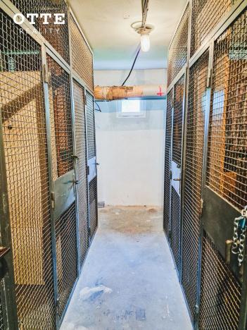 Prodej bytu 3+1, Plzeň, Macháčkova, 69 m2