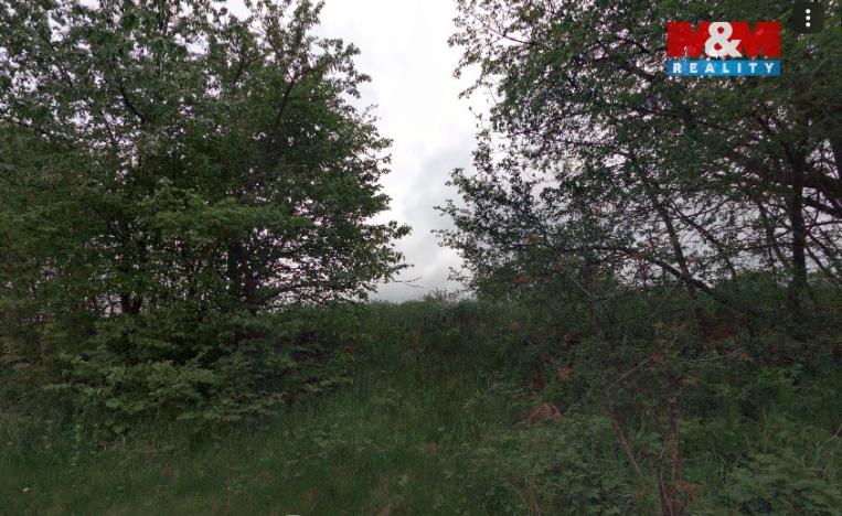 Prodej pozemku, Červená Lhota, 4173 m2