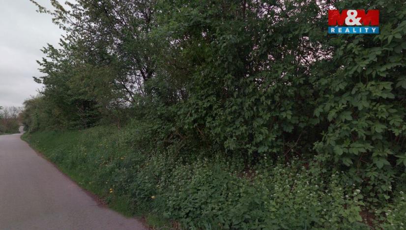 Prodej pozemku, Červená Lhota, 4173 m2