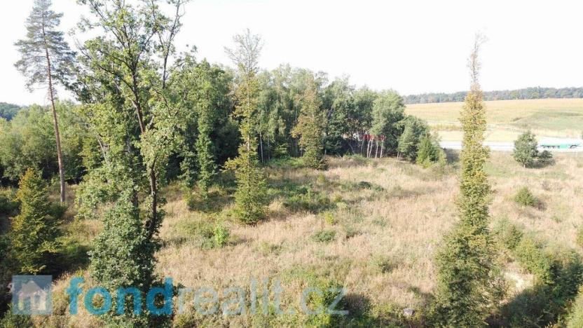 Prodej pozemku, Borek, 1351 m2