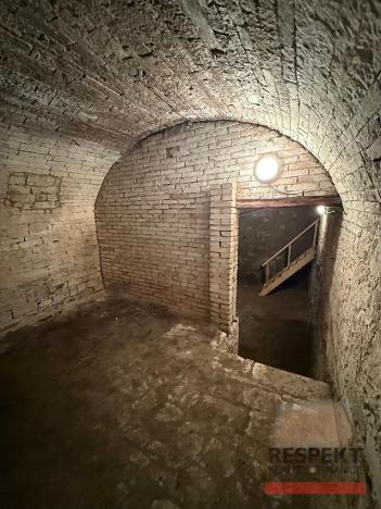 Prodej rodinného domu, Peruc - Stradonice, 235 m2