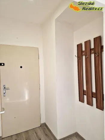 Pronájem bytu 1+kk, Ostrava, Krakovská, 22 m2