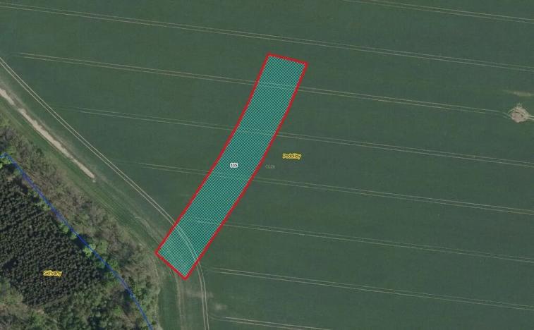 Prodej pole, Králíky, 5334 m2